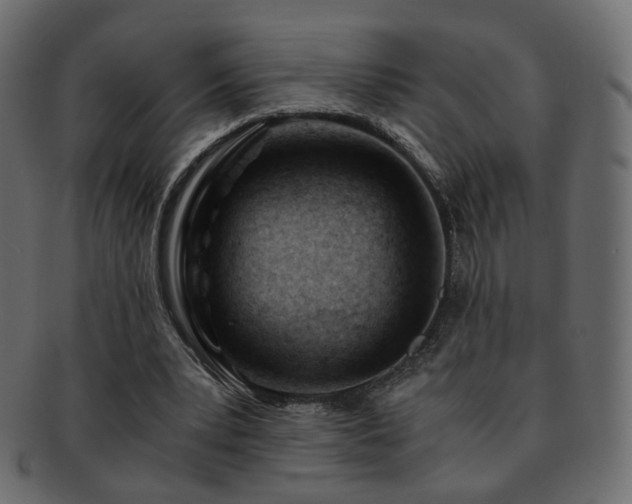 X0000092310391200709141357