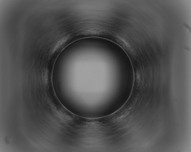X0000092310396200709141357