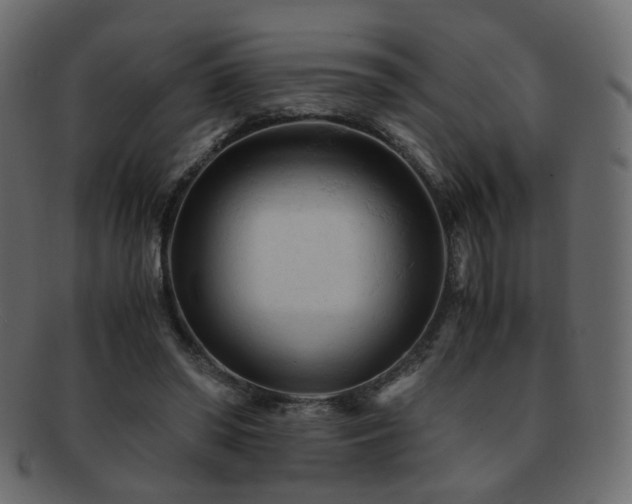 X0000092310398200709141357