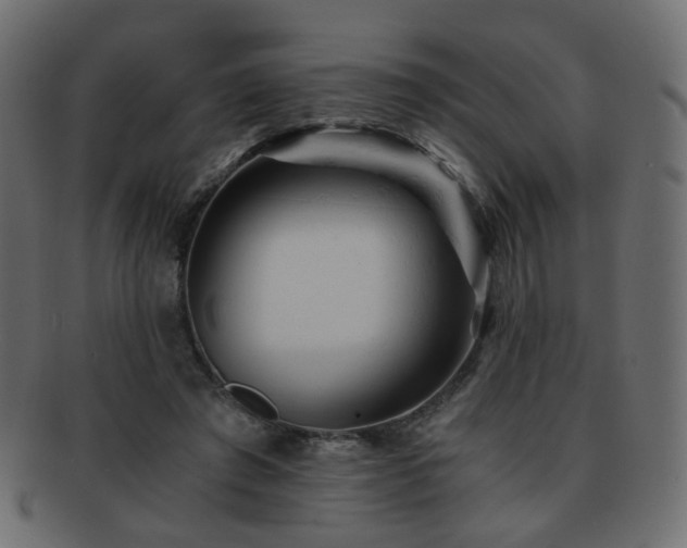 X0000092310401200709141357