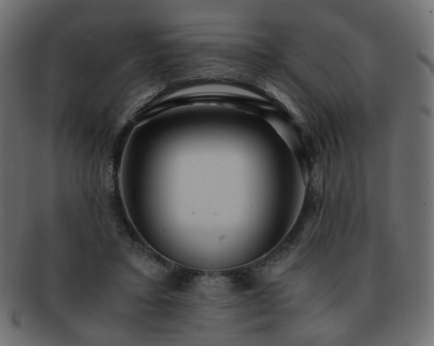 X0000092310403200709141357