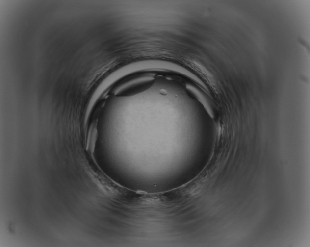 X0000092310405200709141357