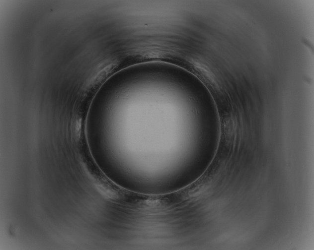 X0000092310406200709141357