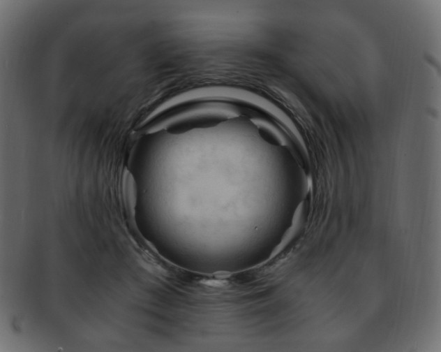 X0000092310409200709141357
