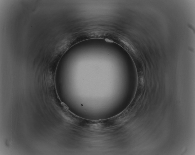 X0000092310411200709141357