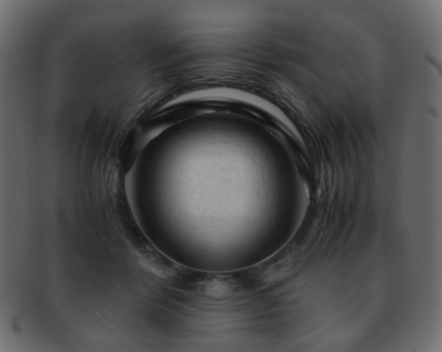 X0000092310412200709141357