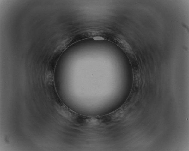 X0000092310419200709141357