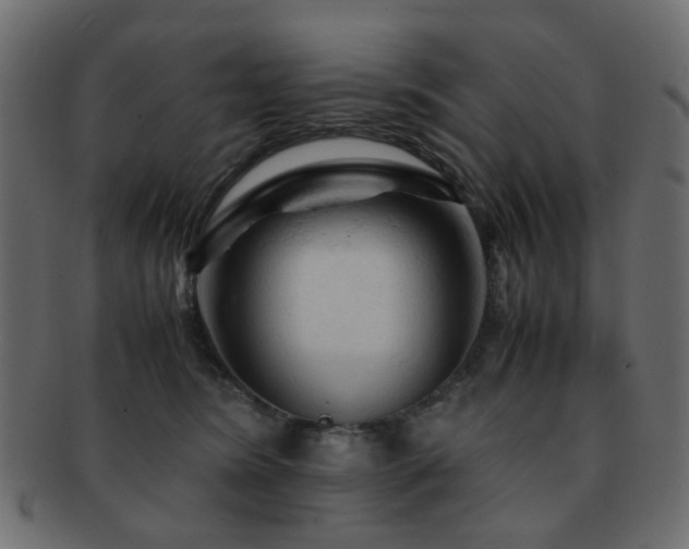 X0000092310420200709141357