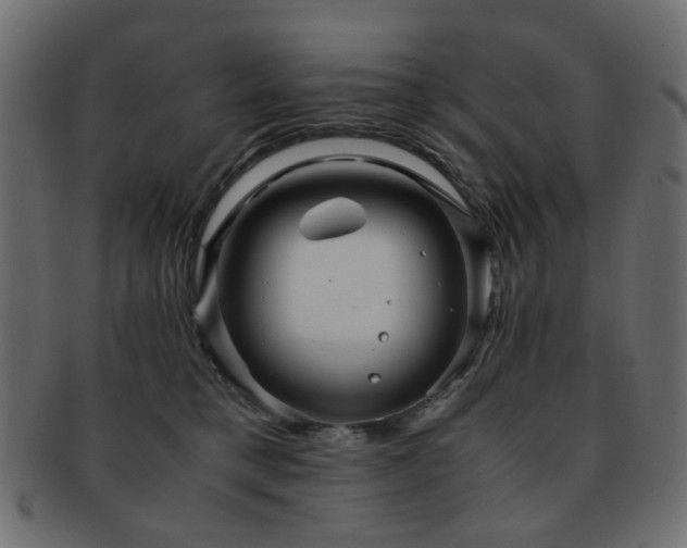 X0000092310421200709141357