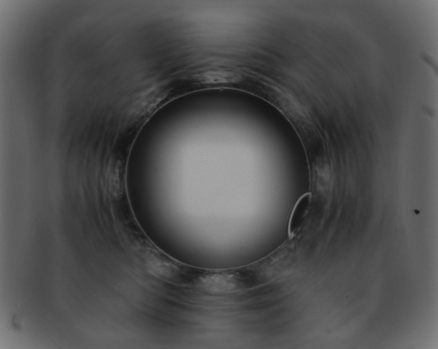 X0000092310422200709141357