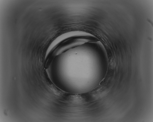 X0000092310424200709141357