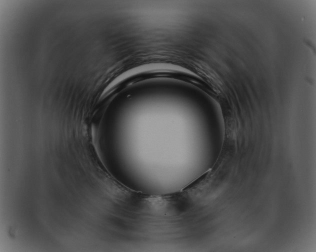 X0000092310425200709141357
