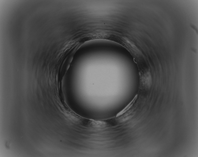 X0000092310429200709141357