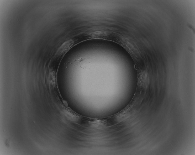 X0000092310430200709141357