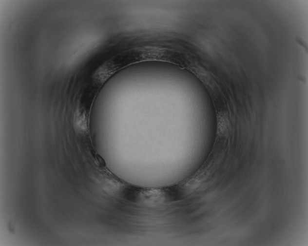 X0000092310431200709141357