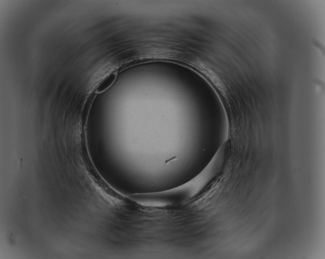 X0000092310437200709141356