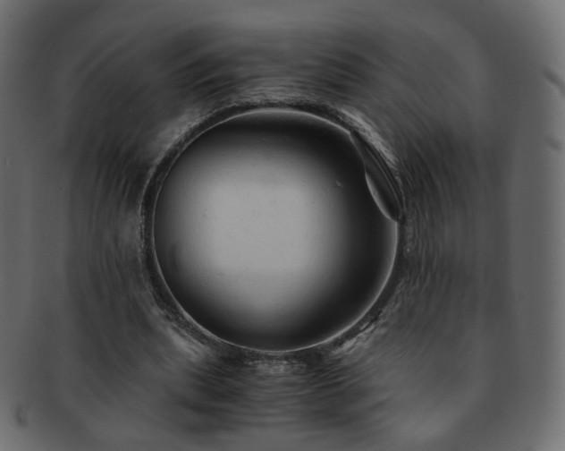X0000092310439200709141356