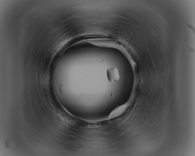 X0000092310440200709141356