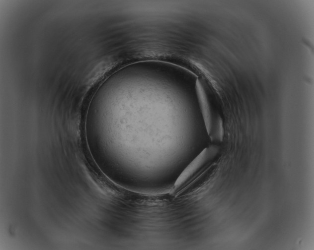 X0000092310443200709141356
