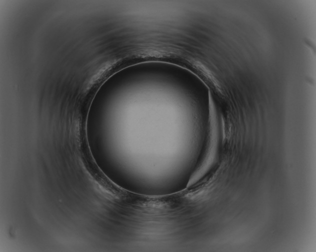X0000092310444200709141356