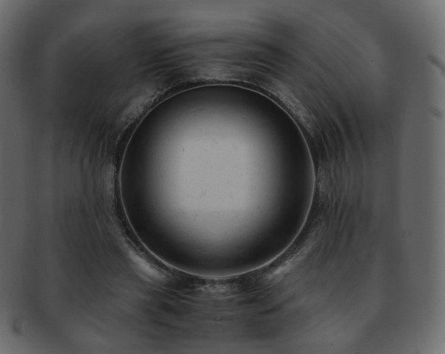 X0000092310445200709141356