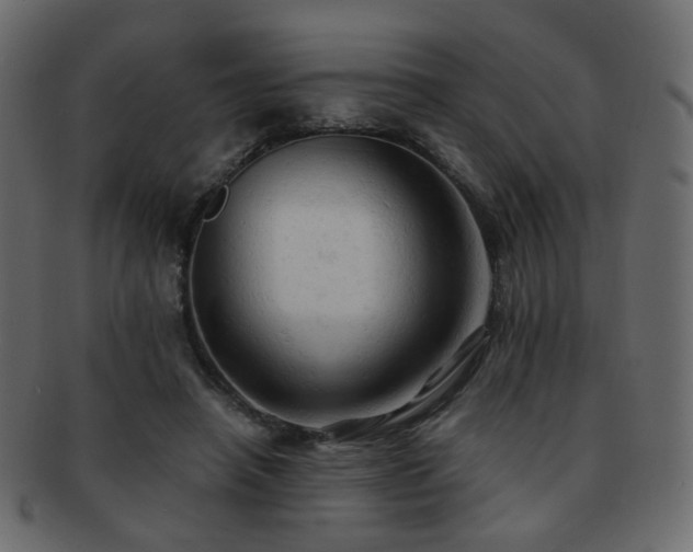 X0000092310450200709141356