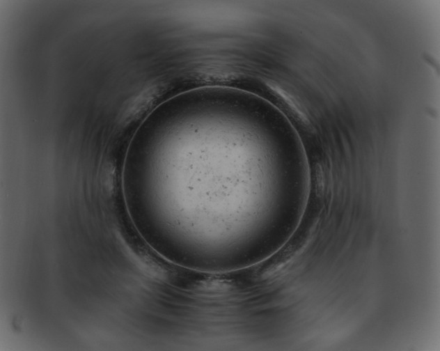 X0000092310451200709141356