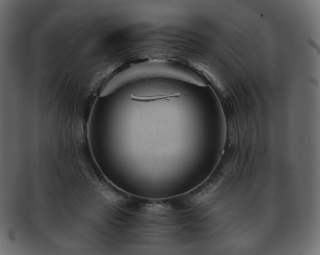 X0000092310453200709141356