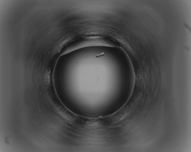 X0000092310454200709141356