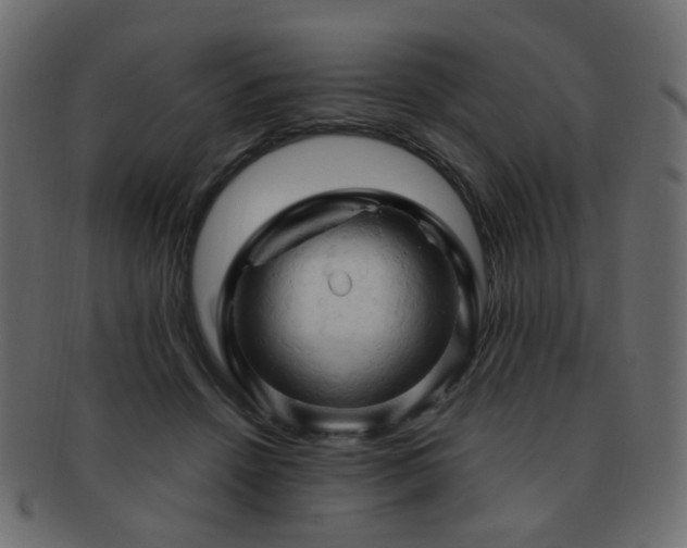 X0000092310456200709141356