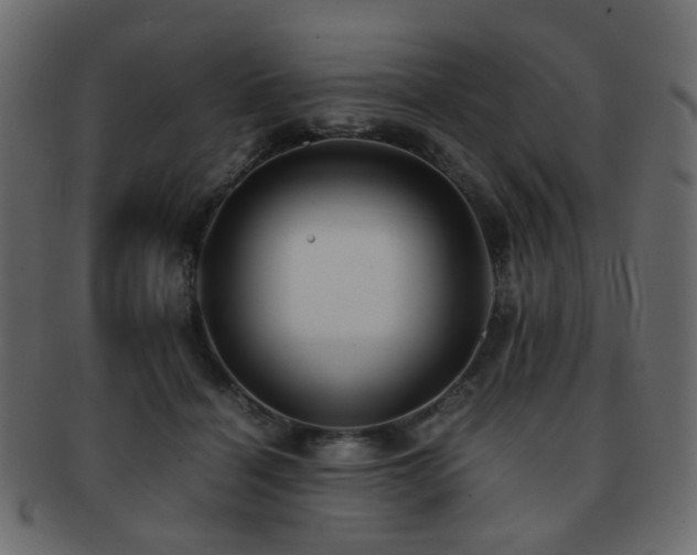 X0000092310460200709141356