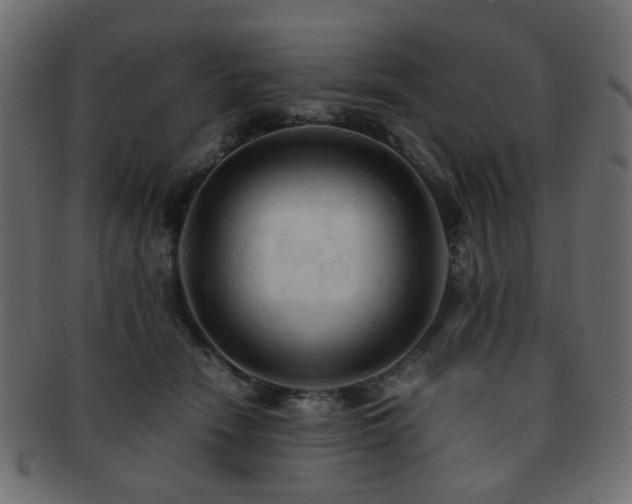 X0000092310466200709141357