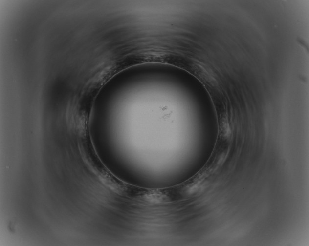 X0000092310468200709141357