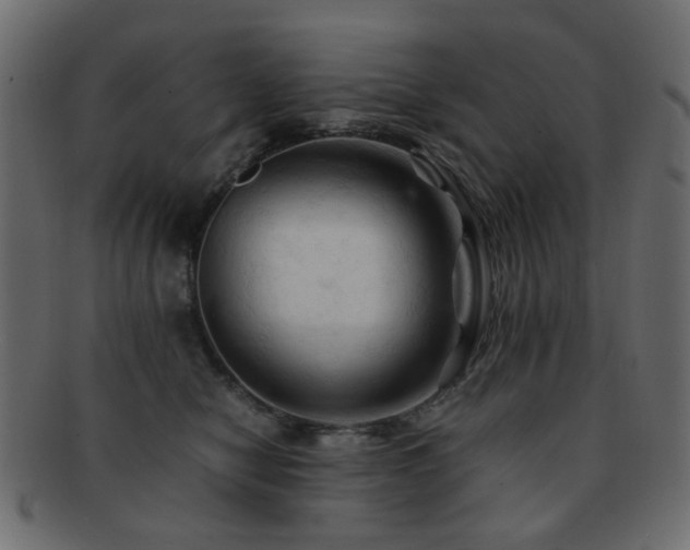 X0000092310470200709141357