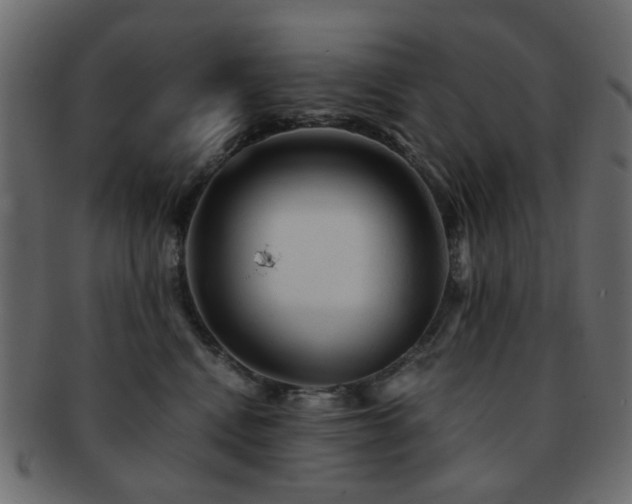 X0000092310472200709141357