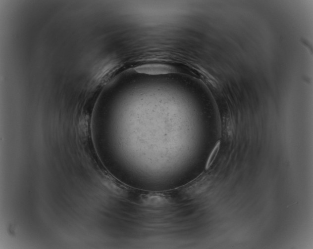X0000092310475200709141357