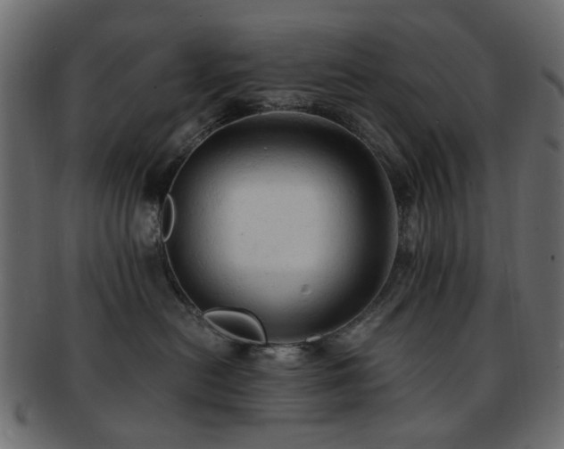 X0000092310478200709141357