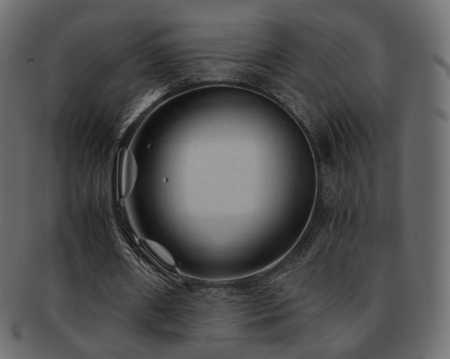 X0000092310482200709141356