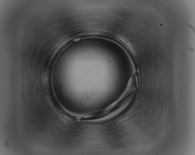 X0000092310483200709141356
