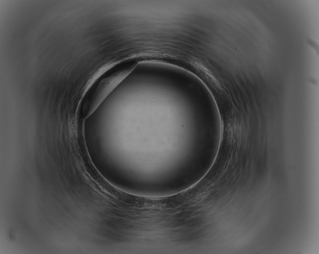 X0000092310484200709141356