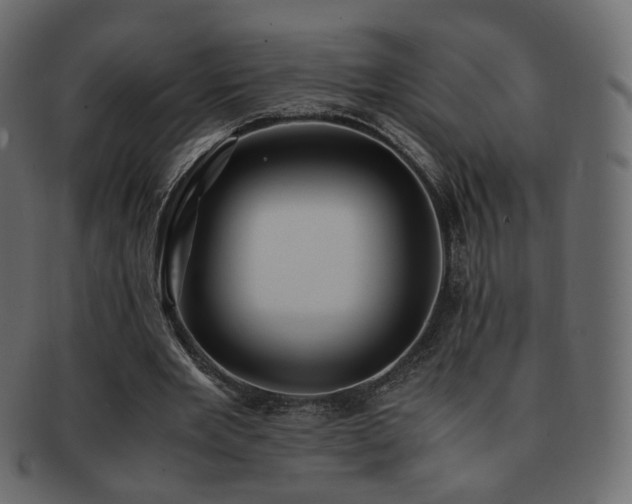 X0000092310485200709141356