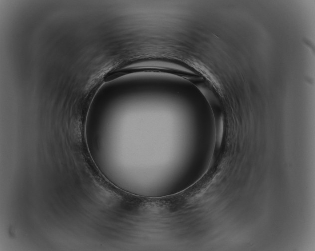 X0000092310489200709141356