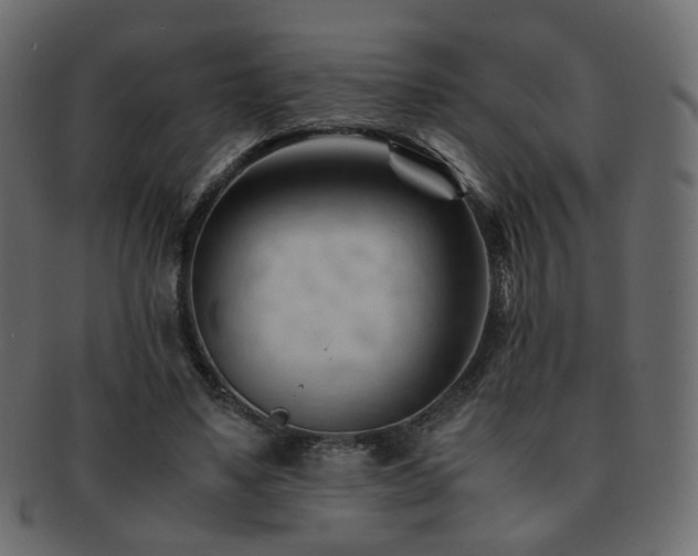 X0000092310491200709141356