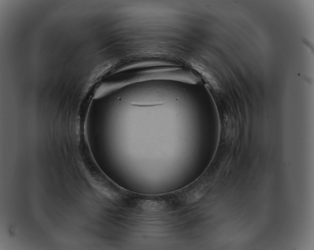 X0000092310494200709141356