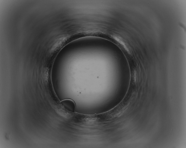 X0000092310495200709141356