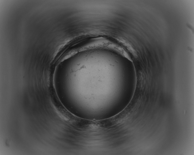 X0000092310496200709141356