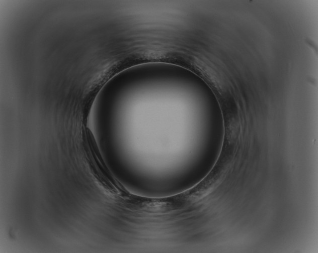 X0000092310497200709141356