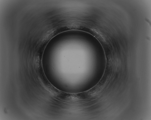 X0000092310498200709141356