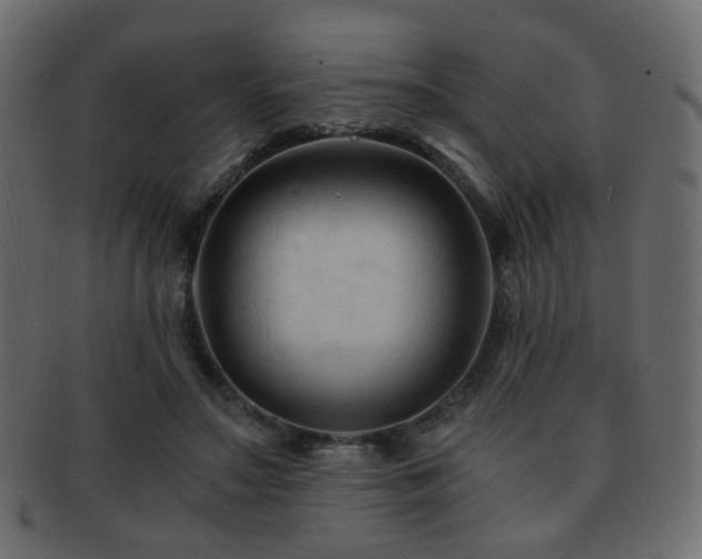 X0000092310499200709141356