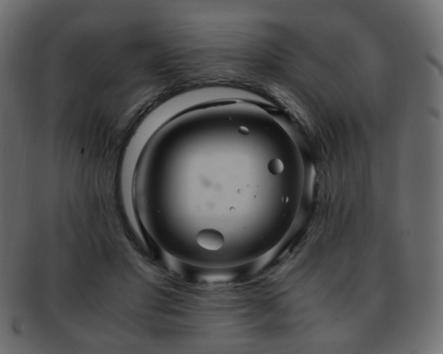 X0000092310501200709141356